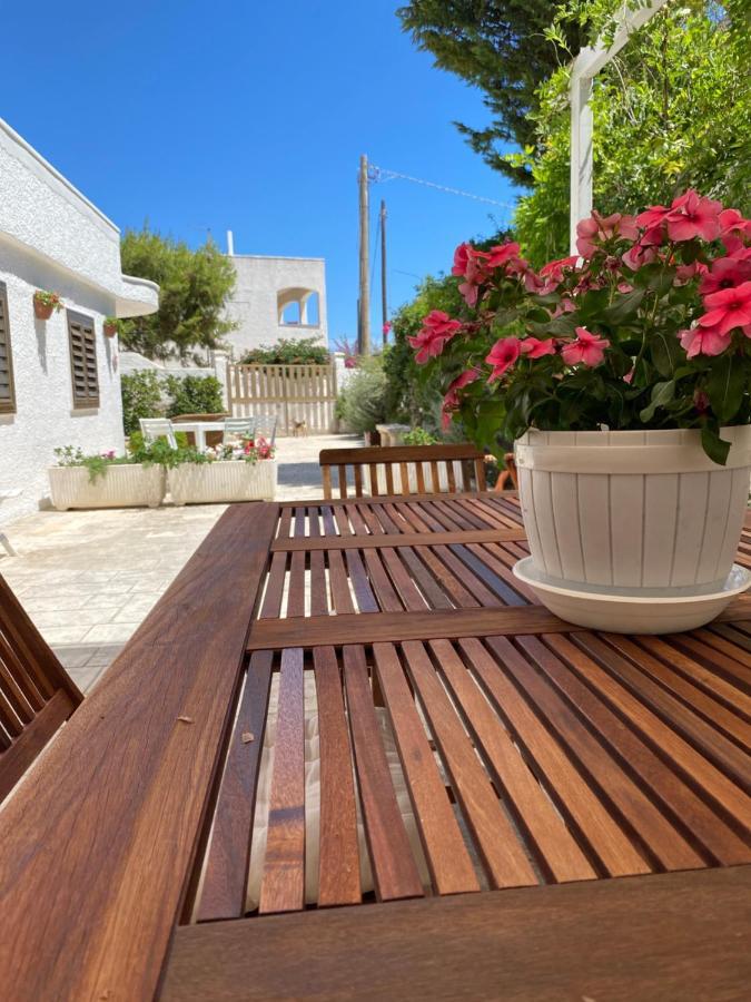 Casa Alfonsa * Villanova di Ostuni